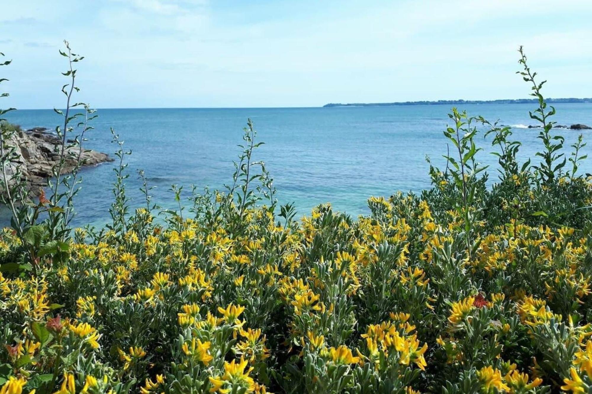 Superbe T3 Cosy Vue Mer 180 Ploemeur Kültér fotó